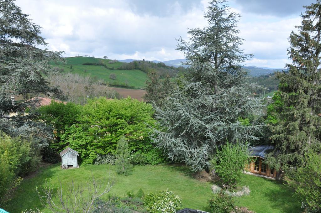 Chambre D'Hotes La Noue Saint-Pierre-la-Palud Kültér fotó